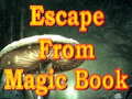 Peli Escape From Magic Book