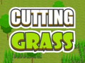 Peli Cutting Grass