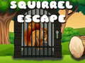 Peli Squirrel Escape