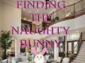 Peli Finding The Naughty Bunny