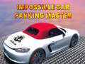 Peli Impossible car parking master