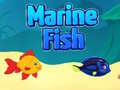 Peli Marine Fish