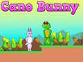 Peli Cano Bunny