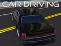 Peli Car Driving