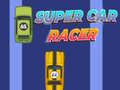 Peli Super Car Racer