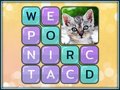 Peli Word Search Pictures