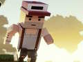 Peli Parkour Craft 3D