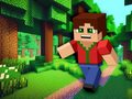 Peli Minicraft