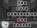 Peli Cute Pomeranian Dog Escape