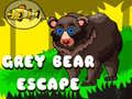 Peli Grey Bear Escape