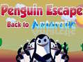 Peli Penguin Escape Back to Antarctic