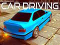 Peli Car Driving