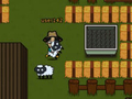 Peli Sheep13