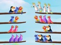 Peli Bird Sort Puzzle
