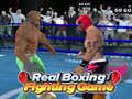 Peli Real Boxing Fighting Game
