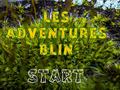 Peli Les Adventures Blin