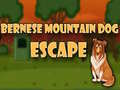 Peli Bernese Mountain Dog Escape