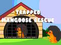 Peli Trapped Mangoose Rescue