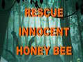 Peli Rescue Innocent Honey Bee 