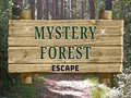 Peli Mystery Forest