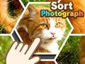 Peli Sort Photograph