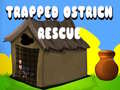 Peli Trapped Ostrich Rescue