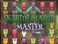 Peli Skibidi Match Master