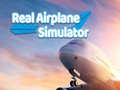 Peli Real Airplane Simulator