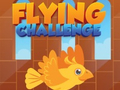 Peli Flying Challenge