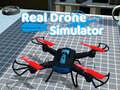 Peli Real Drone Simulator