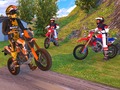 Peli Motocross Driving Simulator