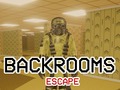 Peli Backrooms Escape