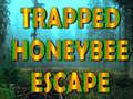 Peli Trapped Honeybee Escape