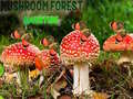 Peli Mushroom Forest Adventure