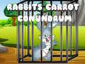 Peli Rabbits Carrot Conundrum