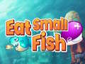 Peli Eat Small Fish