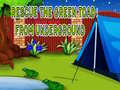 Peli Rescue The Green Toad From Underground