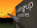 Peli Scaling Up Industries
