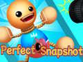 Peli Perfect Snapshot