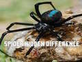 Peli Spider Hidden Difference