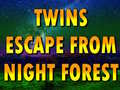 Peli Twins Escape From Night Forest