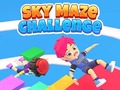 Peli Sky Maze Challenge