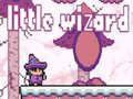 Peli Little Wizard