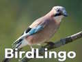 Peli BirdLingo