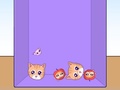 Peli Evolution of Cat Memes