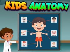 Peli Kids Anatomy