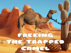 Peli Freeing the Trapped Camel