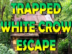 Peli Trapped White Crow Escape