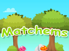 Peli Matchems