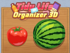 Peli Tidy Life Organizer 3D